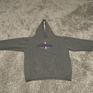 Cubs World Series Champion Hoodie